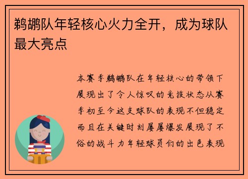 鹈鹕队年轻核心火力全开，成为球队最大亮点